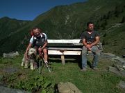 29 un bel cane pastore bergamasco...